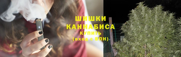 apvp Каменка