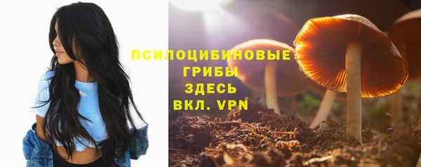 mdpv Каменногорск