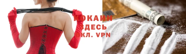 apvp Каменка
