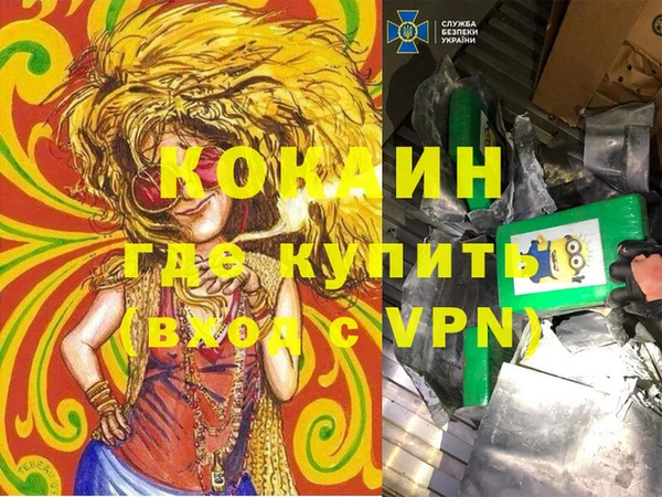 mdpv Каменногорск