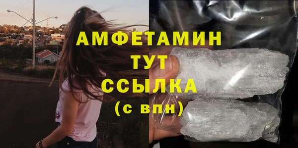 apvp Каменка