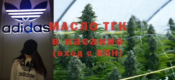 apvp Каменка