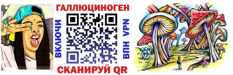 Галлюциногенные грибы прущие грибы  Купить закладки  Россошь 