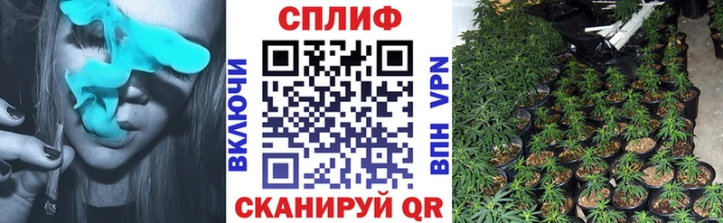 Купить  Россошь  Конопля тримм 